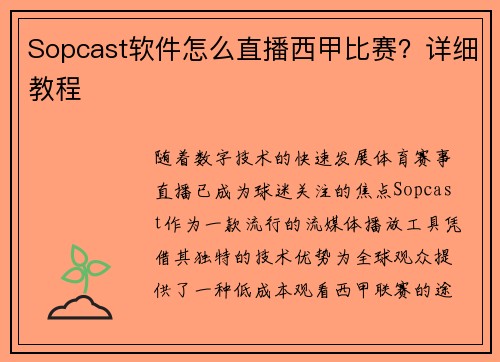 Sopcast软件怎么直播西甲比赛？详细教程